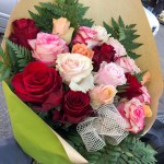 rose colorate