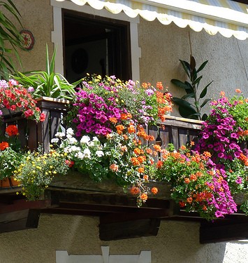 balconi fioriti